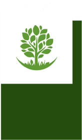 Дизайн-проект+
                                 благоустройство
                                 территории