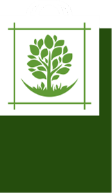 Ландшафтный проект участка