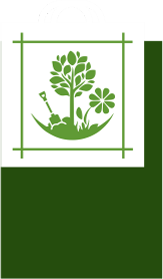 Проект+
                                 благоустройство+
                                 обслуживание 
                                 территории