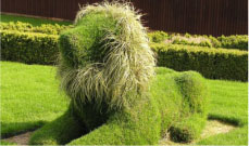 ХУДОЖЕСТВЕННАЯ КОВКА И ТОПИАРНЫЕ ФИГ