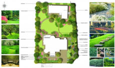 ландшафтный проект участка