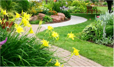 Устройство газона и озеленение