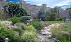 Озеленение