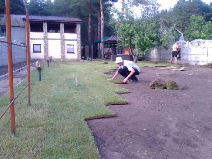 Озеленение