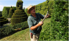 уход за садом